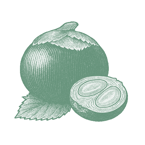 sucre Fruit du Palmier
