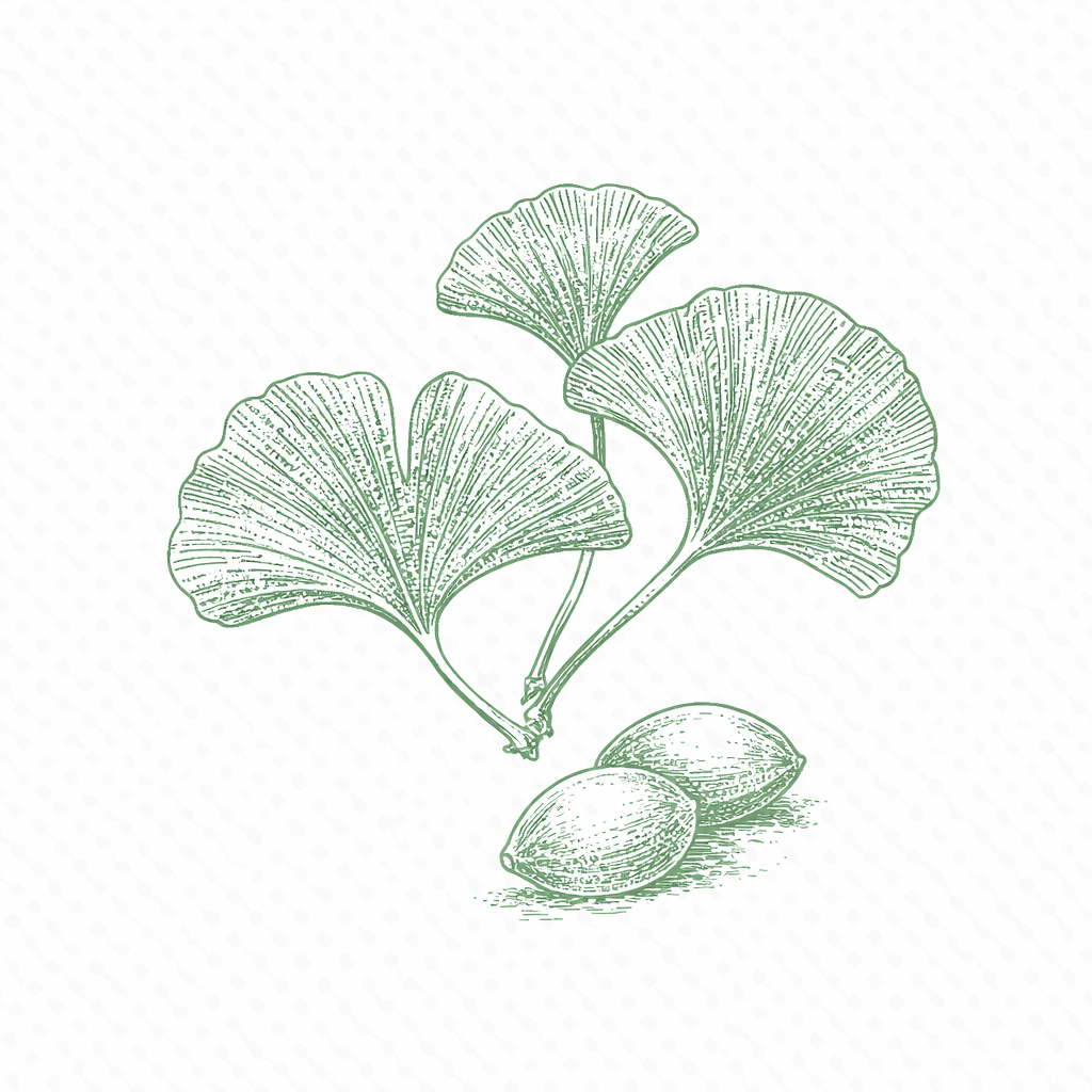 Ginkgo